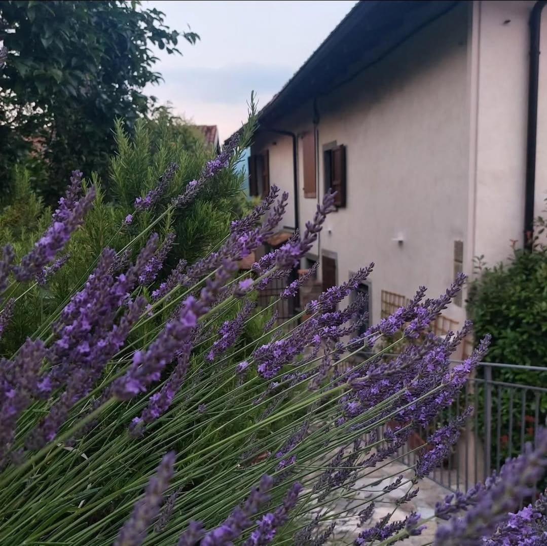 Il Giardino Di Berbech Citta Alta - Castagno Apartment Bergamo Exterior photo
